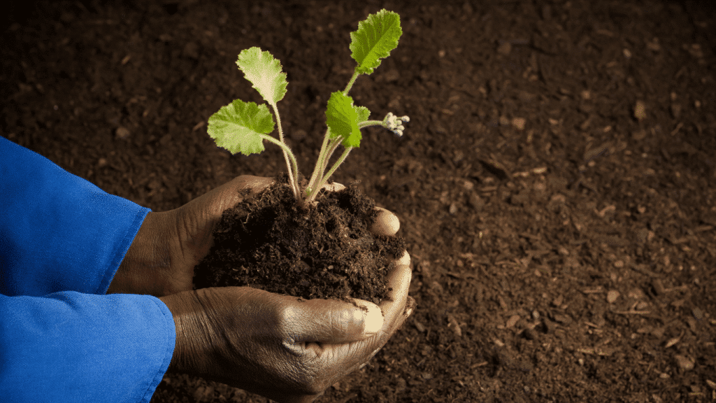 A Spark of Hope – The Story of Zuri – Part 6