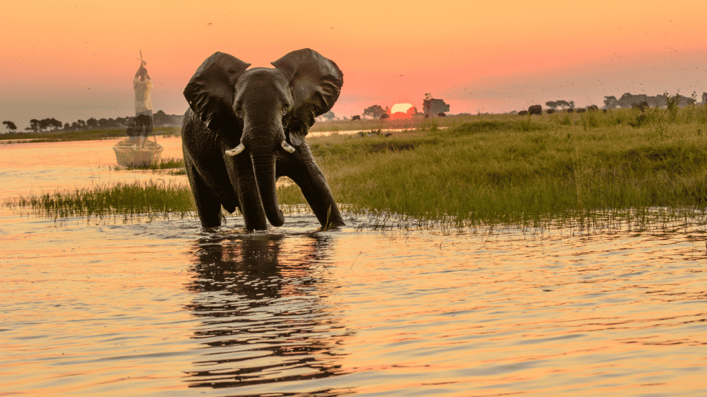 The Divine Visitation by the River – The Story of Zuri – Part 3