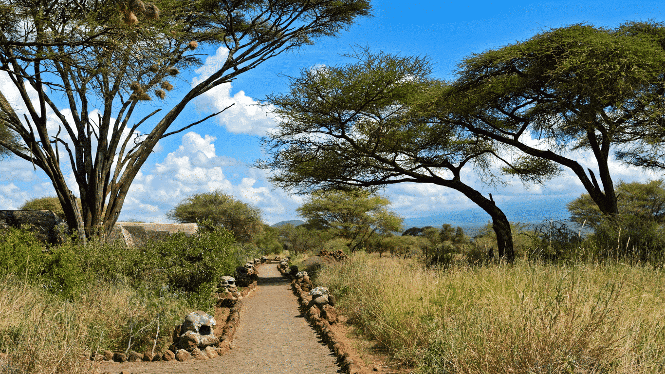 The Rift Between Worlds – The Story of Zuri – Part 4