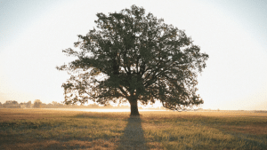Inspiring Christian Quotes About Life