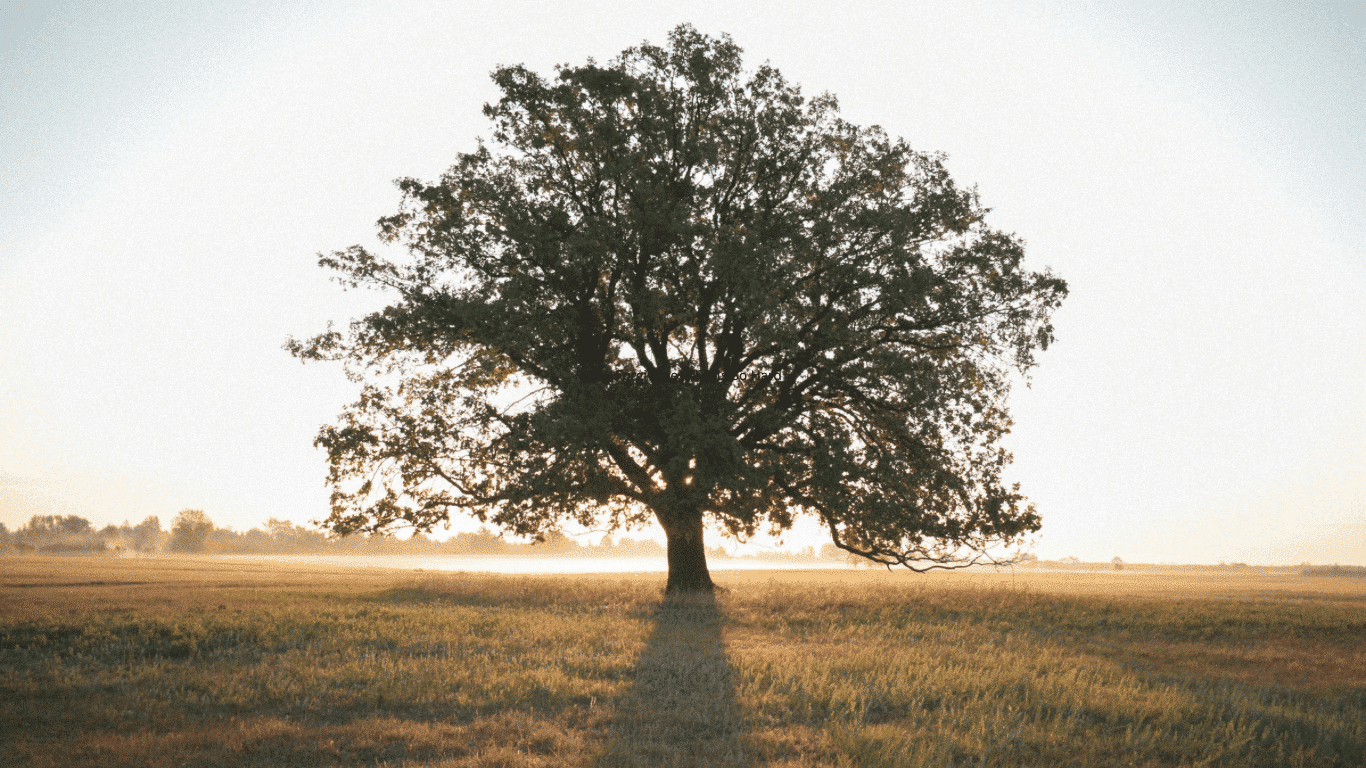 Inspiring Christian Quotes About Life