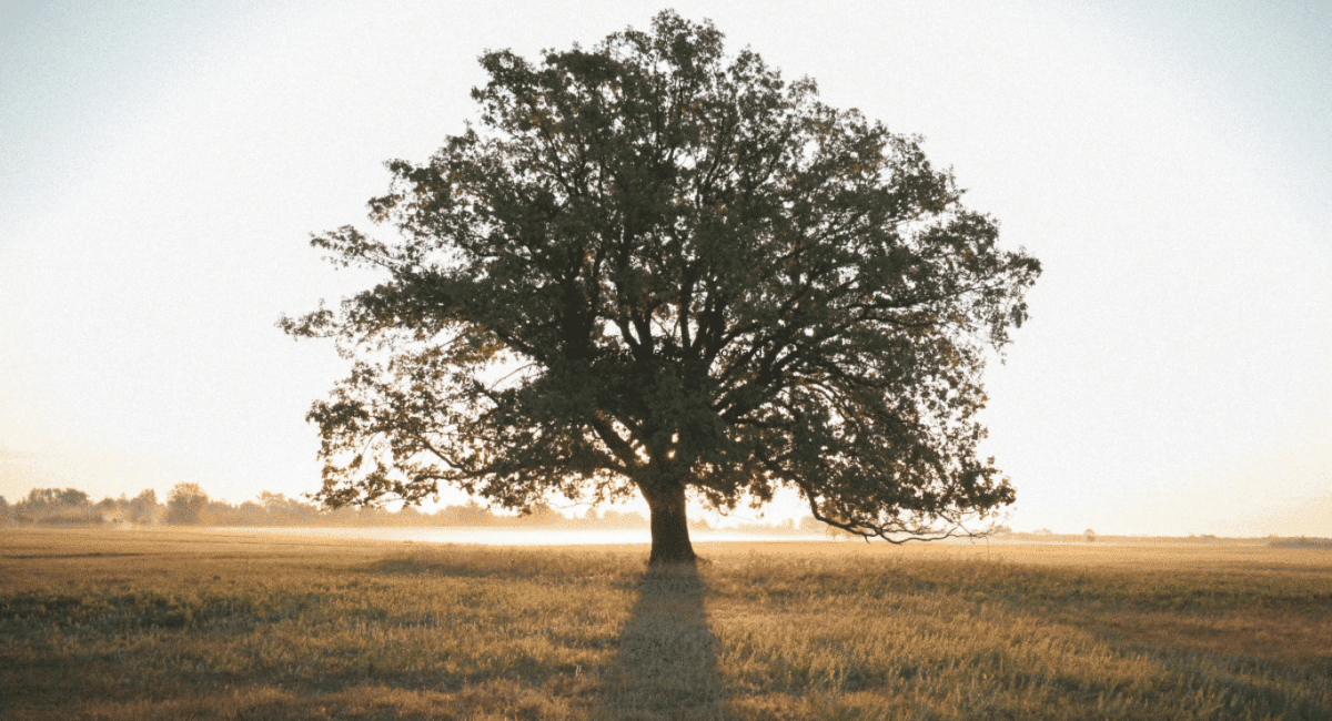 Inspiring Christian Quotes About Life