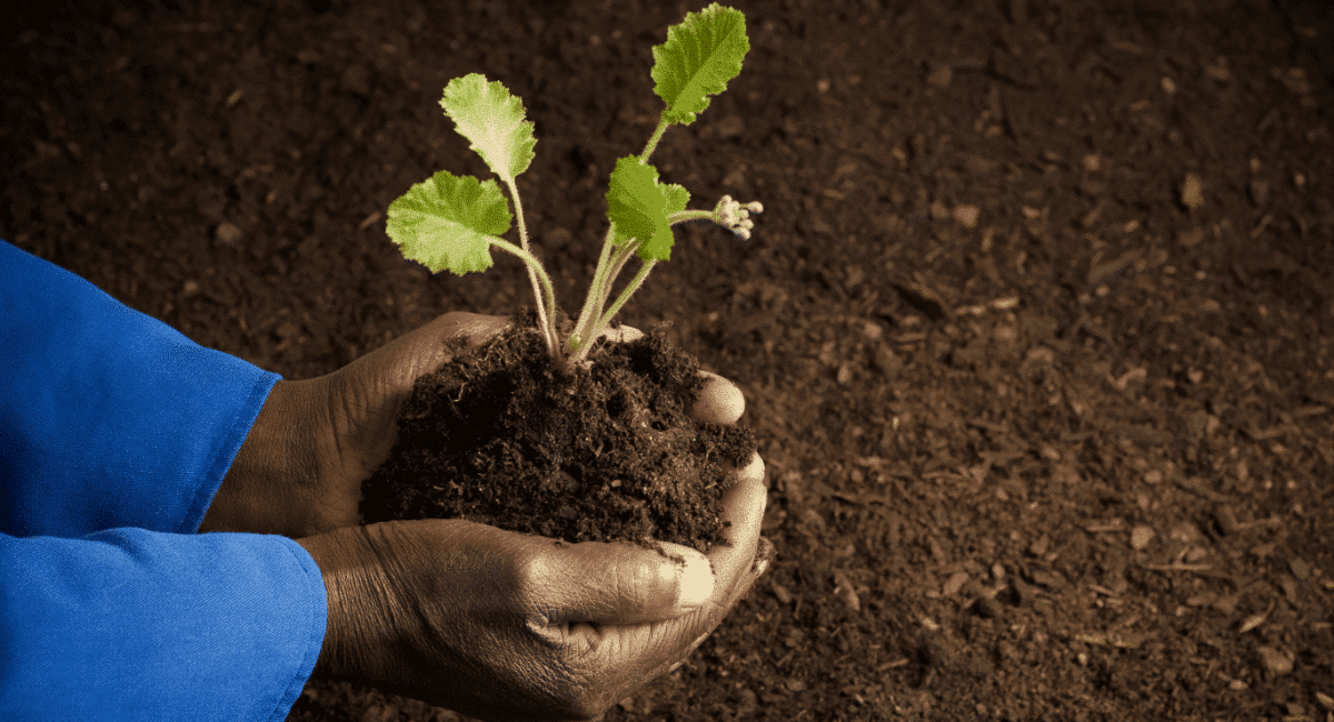 A Spark of Hope – The Story of Zuri – Part 6