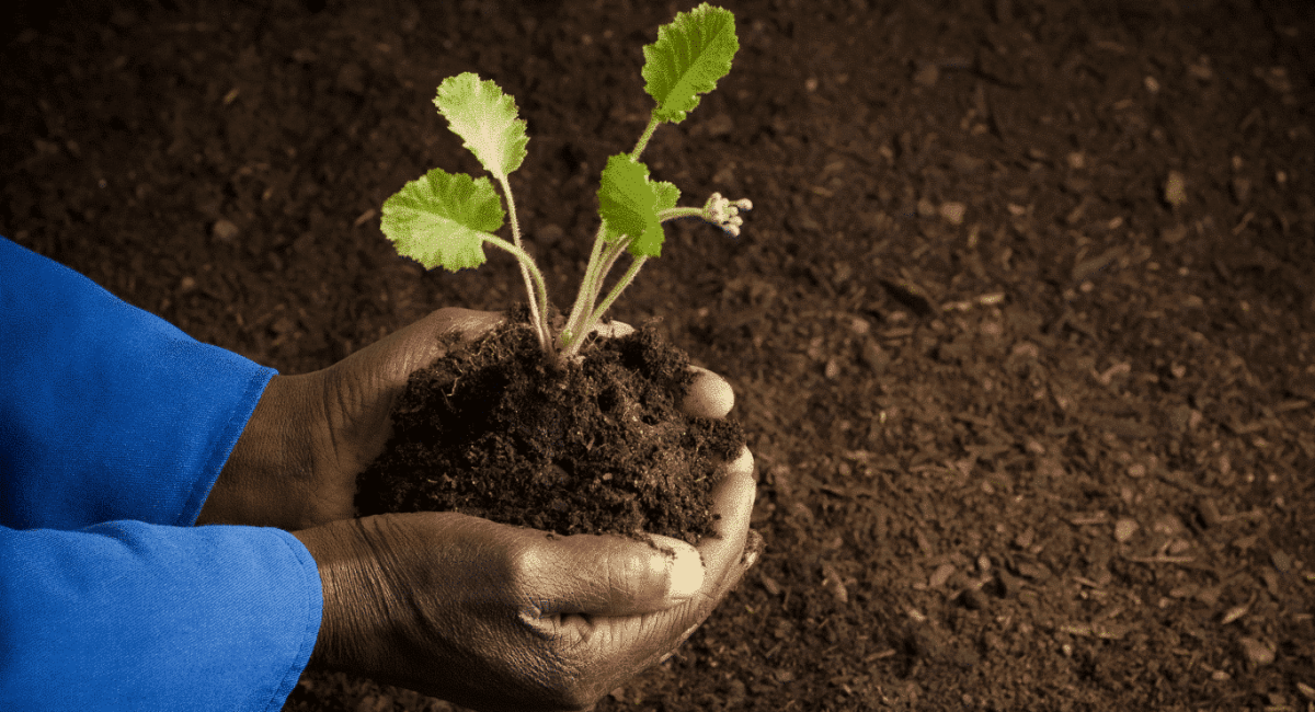 A Spark of Hope – The Story of Zuri – Part 6