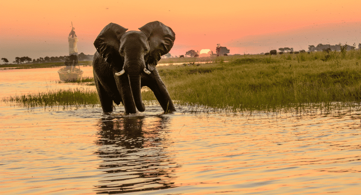 The Divine Visitation by the River – The Story of Zuri – Part 3