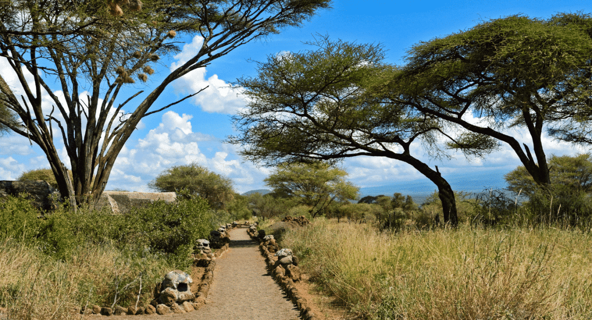 The Rift Between Worlds – The Story of Zuri – Part 4