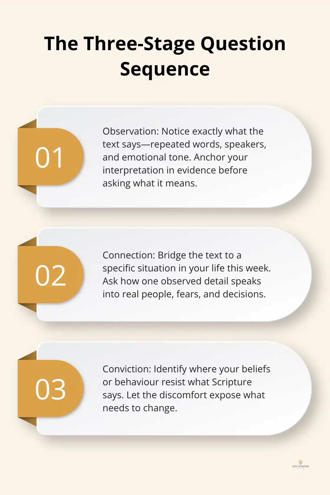 Observation, connection, and conviction steps for Bible study - bible study questions