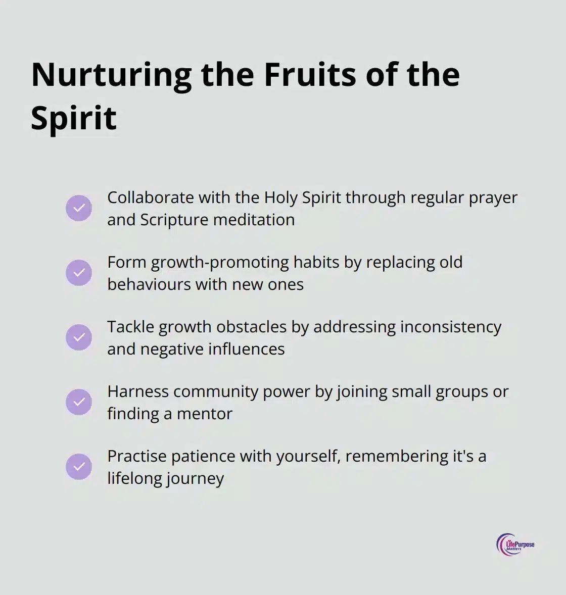 A checkmark list chart showing five ways to nurture the Fruits of the Spirit: collaborate with the Holy Spirit, form growth-promoting habits, tackle growth obstacles, harness community power, and practise patience.
