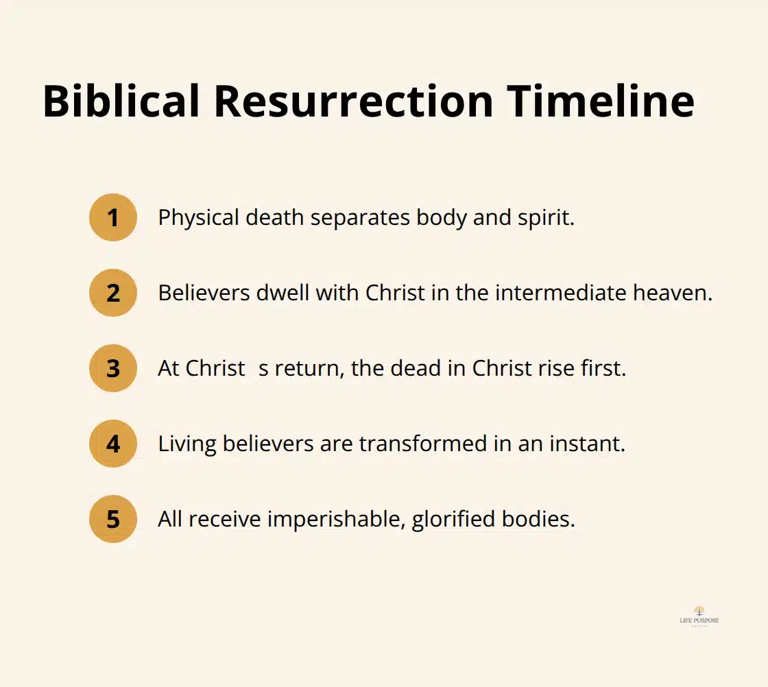 A concise sequence from death to resurrection and transformation at Christs return.